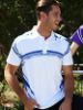 Picture of Unisex Adults Sublimated Gradated Polo