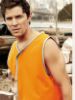 Picture of Unisex Adults Hi-Vis Vest