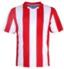 Picture of Unisex Adults Sublimated Striped Football Jersey