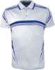 Picture of Unisex Adults Sublimated Gradated Polo