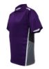 Picture of Unisex Adults Sublimated Panel Polo