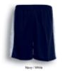 Picture of Unisex Adults Soccer Panel Shorts