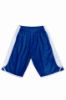 Picture of Mens Basketball Shorts