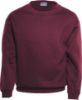 Picture of Unisex Adults Crew Neck Fleece