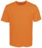 Picture of Unisex Adults Breezway Plain Round Neck Tee Shirt