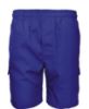 Picture of Kids School Cargo Shorts